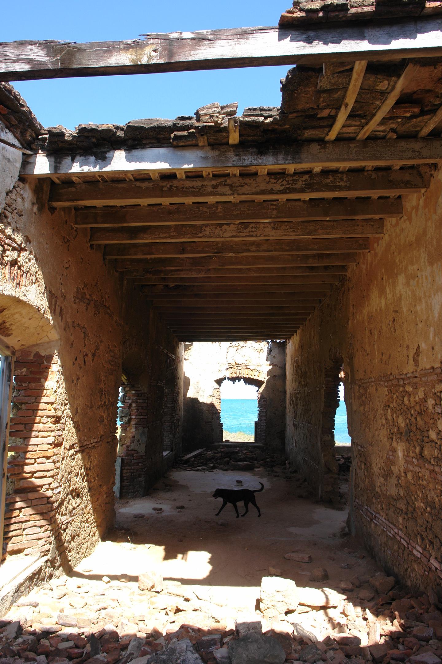 Ruinas del Antiguo Leprocomio - Toa Baja - 2011 00013